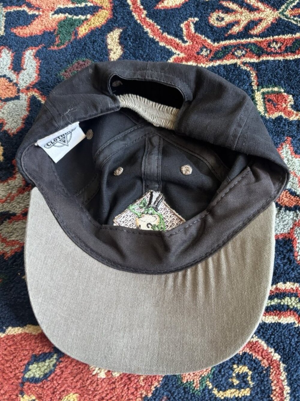 Looney Tunes Wile E Coyote Acme Hat Since 1955 Black Snapback Frog - Picture 4 of 8